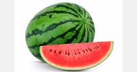 Spain remains the leading watermelon supplier to the EU, but is losing ground to Morocco