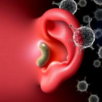 Multicenter Yemeni Study Reveals Bacteria and Antibiotic Resistance in Ear Infections