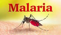 Report calls for stronger private sector role in malaria control