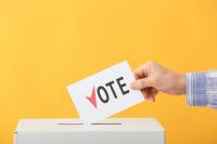 Contested Local Races Take Shape Ahead of Sept. 8 New Hampshire Primary