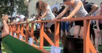 FAMU's College of Agriculture & Food Science holds its Grape Harvest Festival