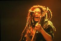 The Marley Family Tree: Every Child of Bob Marley