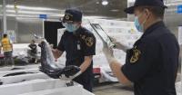 China expands global express corridors, serving domestic consumers with global freshness