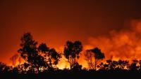 'Bigger shocks are on the way': The world is inching toward catastrophic climate events