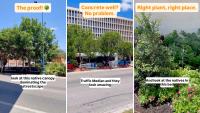 Texas landscaping professional says urban heat isn't why native trees fail, and San Antonio proves it