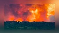 Texas Wildfire Scorches 50,000 Acres: Evacuations Ordered In Jack County