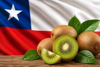Chilean kiwifruit expansion calls for a strategic overhaul. Here’s how to do it.