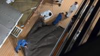 Man Dies in Balcony Fall on Final Night of Norwegian Getaway Cruise