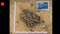 7,000-year-old beaver bone pit reveals how Europe’s first farmers used animal fur