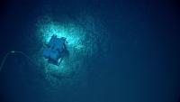 NOAA Robots Survey American Samoa's Seafloor; November Auction Sells It Before Data Is Public