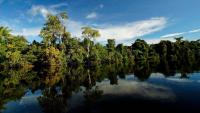 Indigenous communities in South America: protecting lands and ecosystems with ancestral knowledge and science