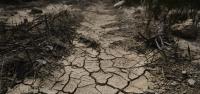 Caribbean braces for intensifying heat and drought as El Niño strengthens