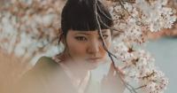 Japan tripled its departure tax to fund tourism but is using the money on cherry blossoms and bears