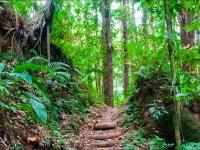 Youth learn eco-tourism through hikes, crafts, farm visits