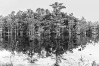 Berkeley Springs photographer selected for international nature photo exhibition