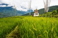 In Bhutan, a philosophy of happiness guides a push for food self-sufficiency