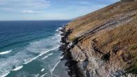 External Experts Visit Falklands To Discuss Salmon Farming