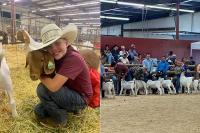 After a summer of hard work, 4-H kids gear up for the Eastern Idaho State Fair