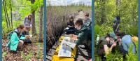 UW researchers train future scientists and educate communities about Wisconsin’s peatlands