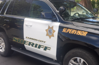 Carson City arrests: Man booked for allegedly pointing pistol at two people