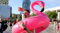Albania’s Flamingo Revolution takes flight against Trump family land grab