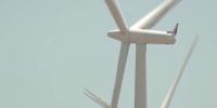 Gov. Mills reacts to selection of Northern Maine energy projects