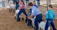 2026 Gem/Boise County Fair Results