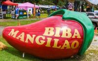 A Spice of Life: check out Mangilao Donne Festival Sept. 12-14 on Guam!