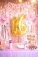 Wyoming Snapshot Day Will Turn Sweet Sixteen This October