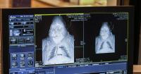 CT scans on tigers? Zoo animals’ doctor’s visits look a bit different