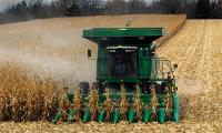 What’s Driving the Financial Crisis on Minnesota Farms?