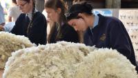 WA College of Agriculture — Morawa students showcase farm skills at this year’s Perenjori Show