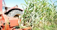 Illinois program offers free, confidential mental health support to farm families
