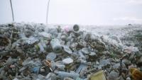 Scientists Transform Plastic Bottles Into Cookies, and Yes, They’re Edible, A ‘Treat from Trash’