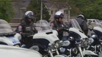 'Road Sharks' strike again in Fairfax County: Citations, warnings hit 41K total in 3 weeks The Road Shark results are in, and the numbers are shocking.Officers with the Fairfax County Police Department (FCPD) and Virginia State Police (VSP) issued a