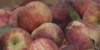Wisconsin lawmakers vote to audit FoodShare