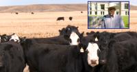 US Wyoming senate candidate reacts to beef tariffs