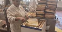 Saskatchewan honey producers face uncertain future amid Canada-U.S. trade war