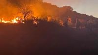Arizona wildland firefighter dies while battling blaze in New Mexico