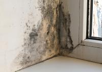 Indoor mould is a public health issue requiring attention