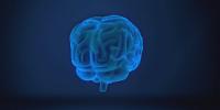UVA researchers contribute to NATO brain health guidelines