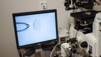 Illinois expanded IVF coverage in 2026, and here's what to know
