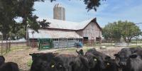 Local beef vs. imports: Kansas farmers react to Trump plan