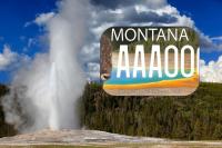 Yellowstone Forever's New Montana License Plate Design Explained
