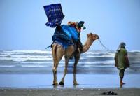 Tourism’s Geopolitical Trap