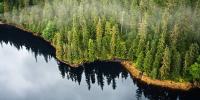 USDA faces growing backlash over proposed rescission of Roadless Rule in Alaska’s Tongass National Forest