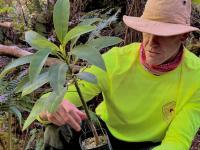 PMRF, DLNR partnership awarded $4.73mil to support Kaua`i watershed protection and strengthen readiness