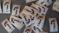 Michigan citizenship voting proposal would need court action to make ballot