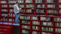 When AI eats books