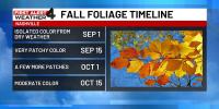 Here’s when the leaves will turn colors for fall in Middle Tennessee